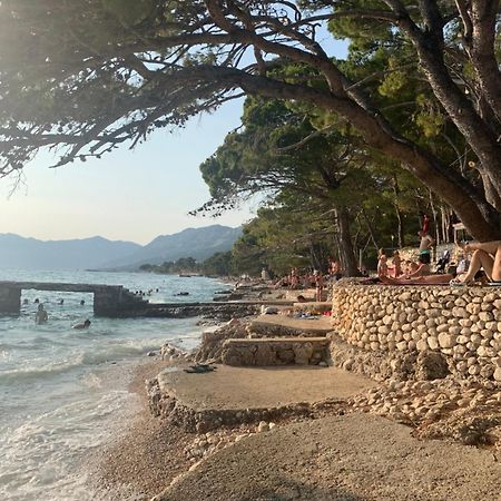 Oaza Mira Mobile Houses - Camp Basko Polje #Bestoffer Baška Voda Exteriör bild