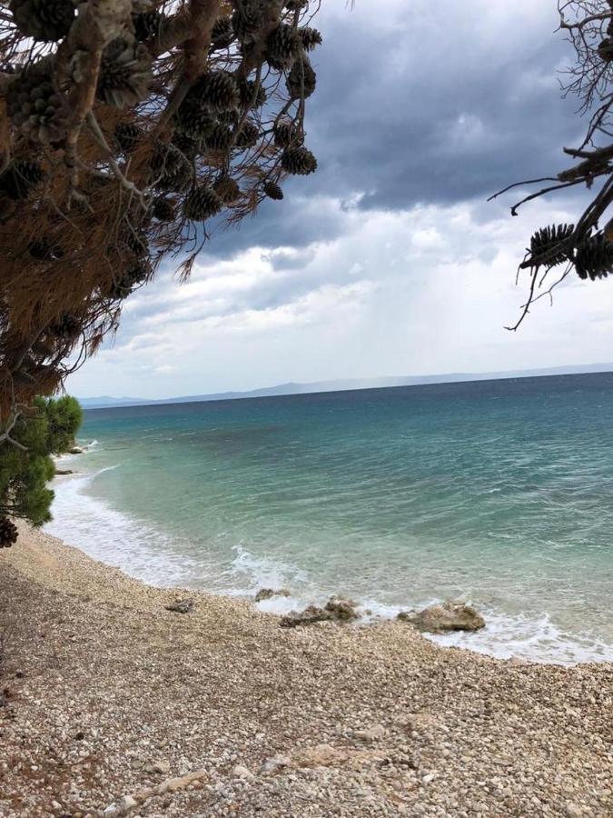 Oaza Mira Mobile Houses - Camp Basko Polje #Bestoffer Baška Voda Exteriör bild