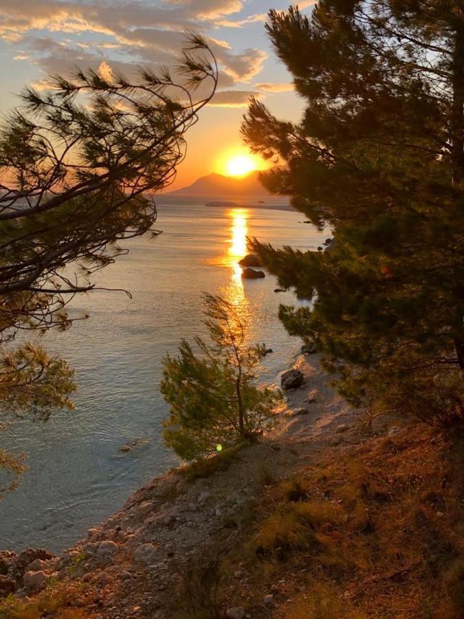 Oaza Mira Mobile Houses - Camp Basko Polje #Bestoffer Baška Voda Exteriör bild